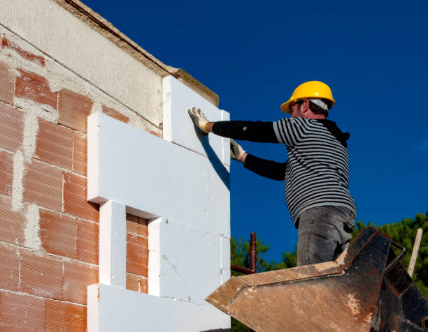 Best Garage Insulation Installation  in Syracuse, NE