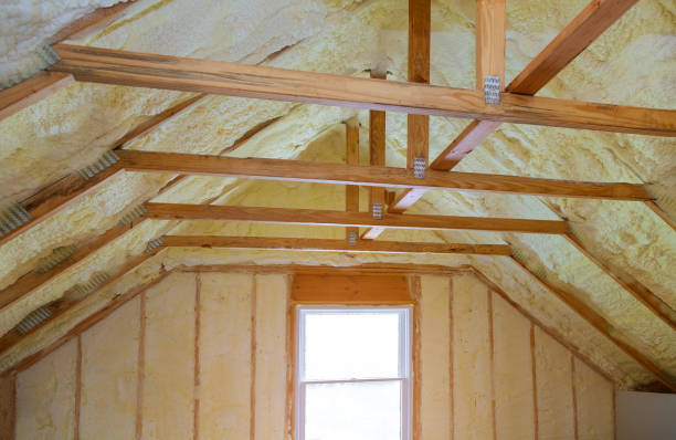 Best Cellulose Insulation  in Syracuse, NE
