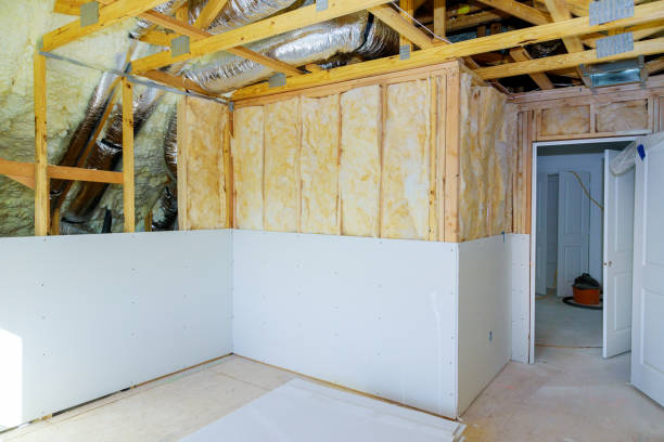 Best Attic Insulation Installation  in Syracuse, NE