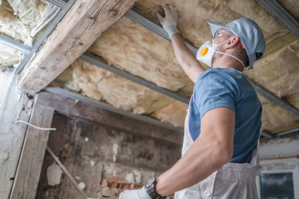 Best Residential Insulation Services  in Syracuse, NE