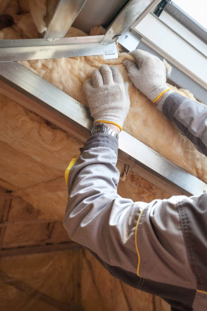 Best Attic Insulation Near Me  in Syracuse, NE