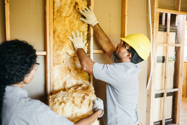 Best Insulation Inspection Services  in Syracuse, NE