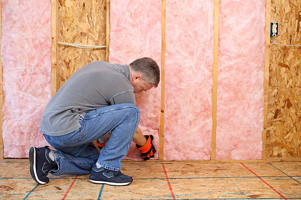 Best Residential Insulation Services  in Syracuse, NE