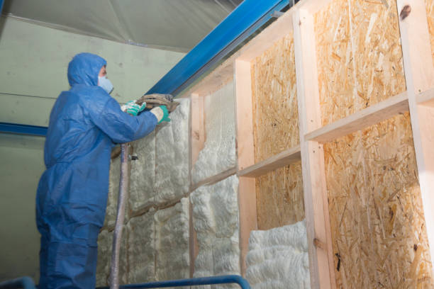 Best Insulation Replacement Services  in Syracuse, NE